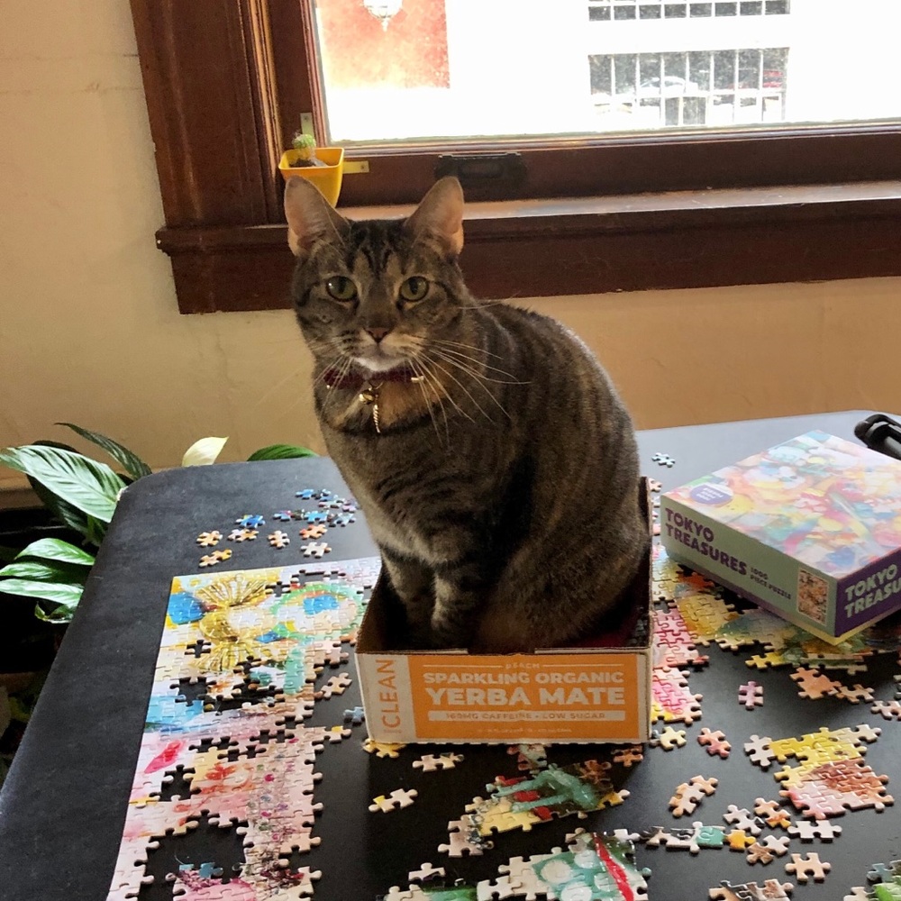 Meet your Posher, Andrea